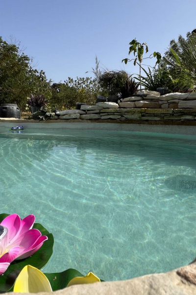 La piscine naturelle du Lodge